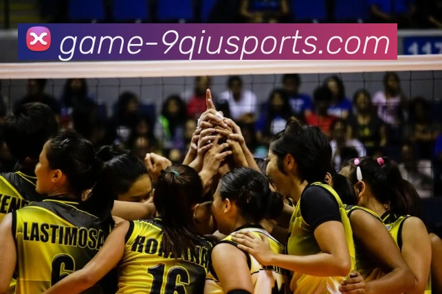 体育下注服务体系